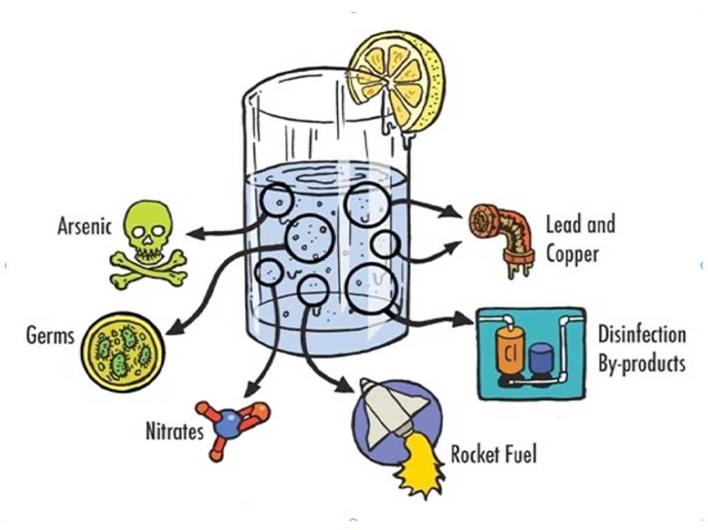 graphic showing what's in our drinking water